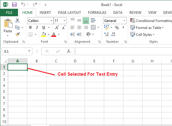 Excel_2013_Text_Entry
