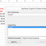 Microsoft Excel Spell Checking