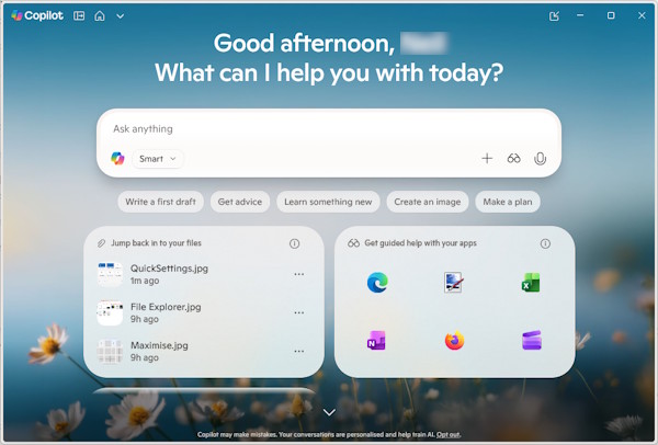 Windows 11 Co-pilot screenshot
